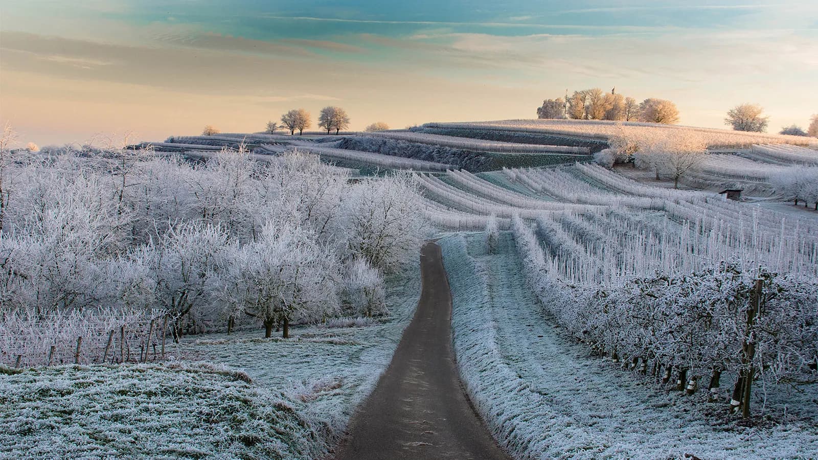 Weintasting: Große Winterweinprobe im Weinlager Schwachhausen