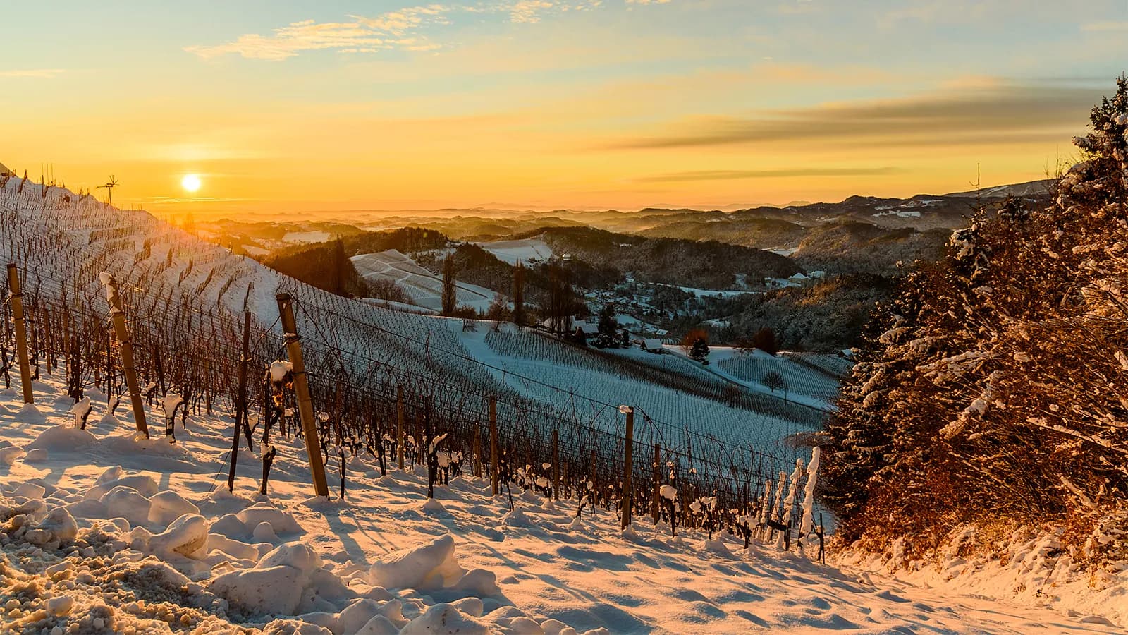 Weintasting: Winterweine im Weinlager Schwachhausen