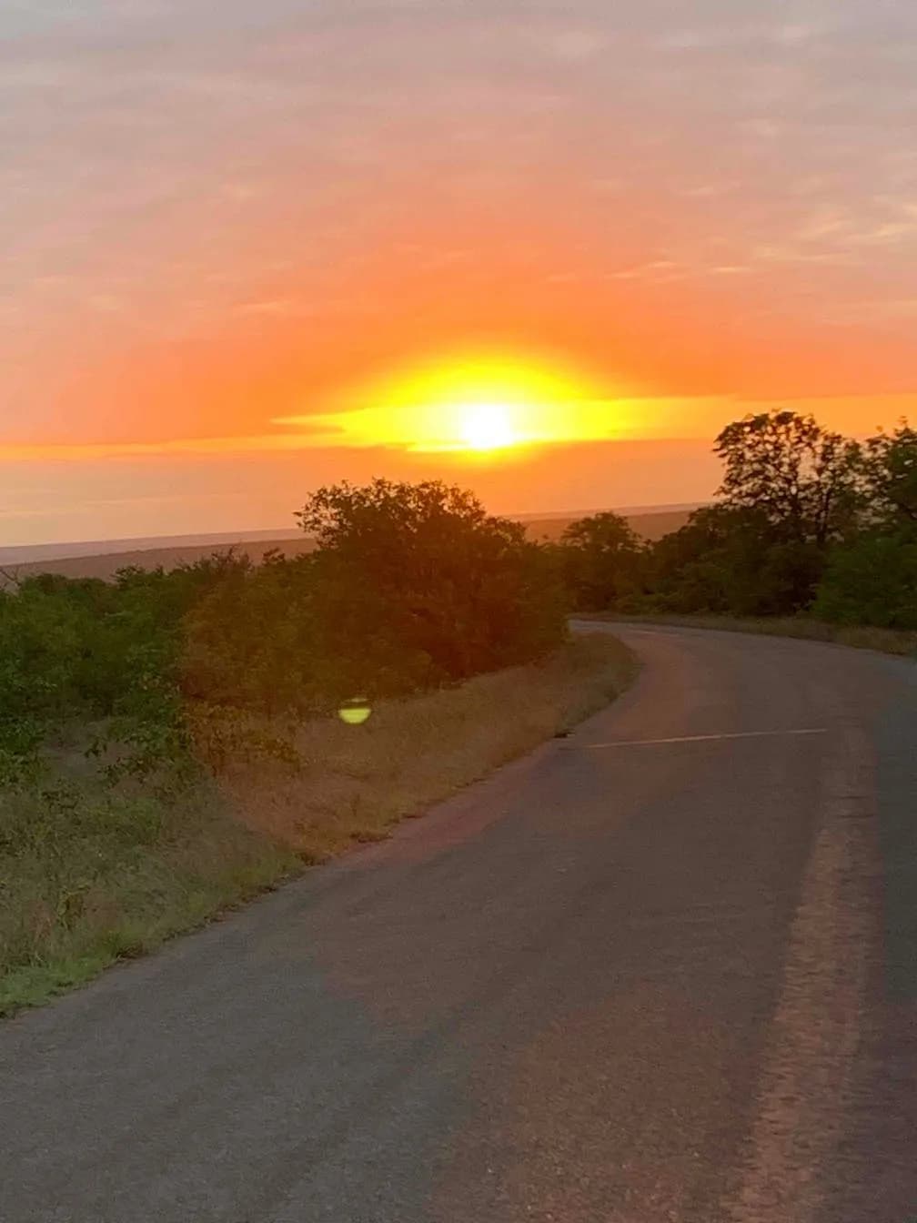 Hakuna Matata - No Stress!