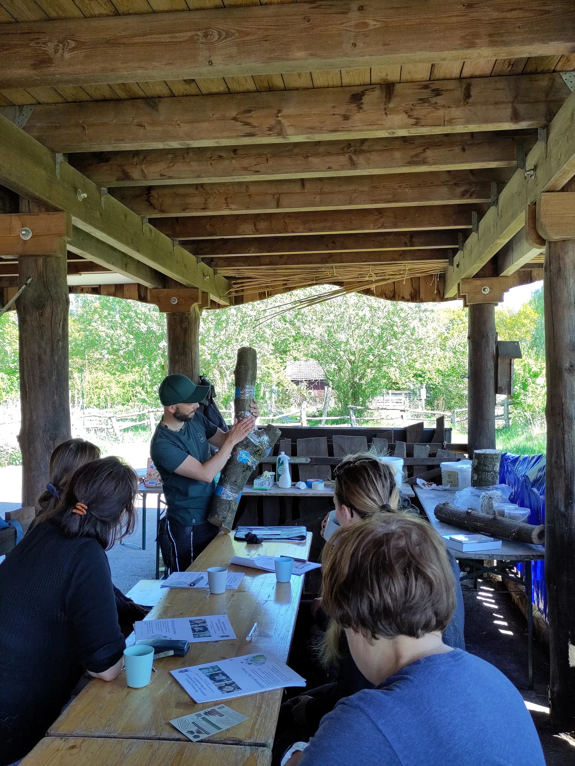 Einführung in die Speisepilzzucht auf Baumstämmen (Outdoor)
